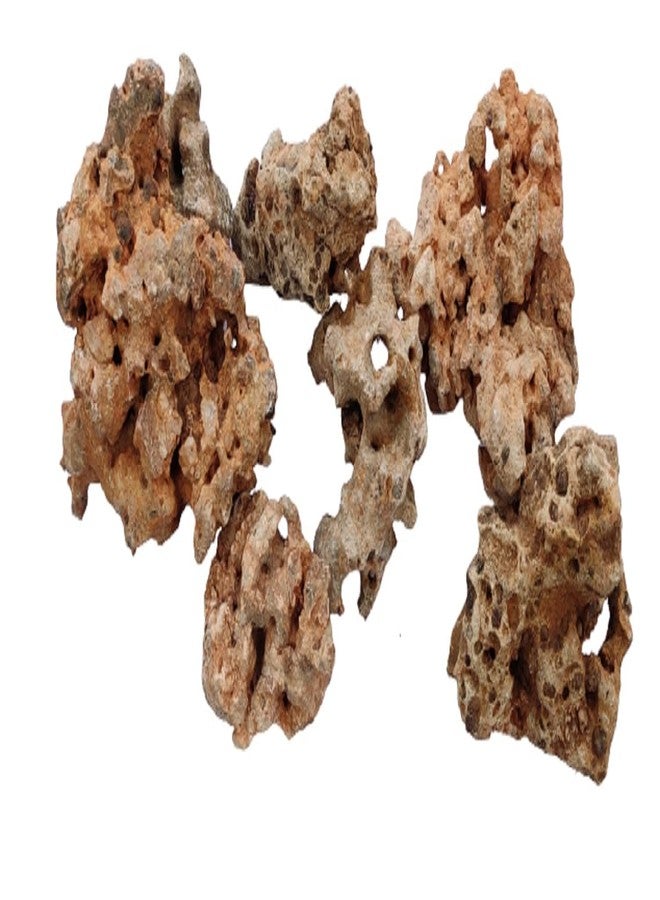 Maalavya Rock for Aquarium Decoration and Garden Decoration Congo Rocks/Hole Rocks (5 KG) - Image 2